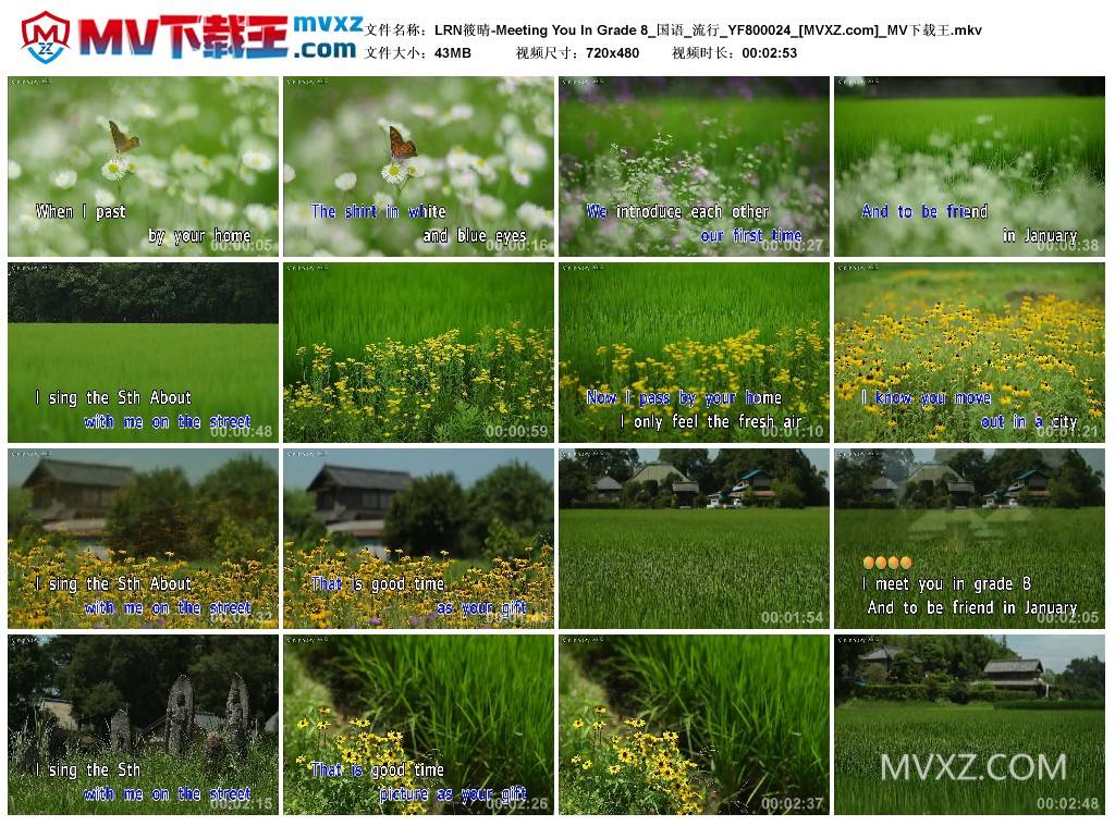 LRN筱晴-Meeting You In Grade 8_国语_流行_YF800024